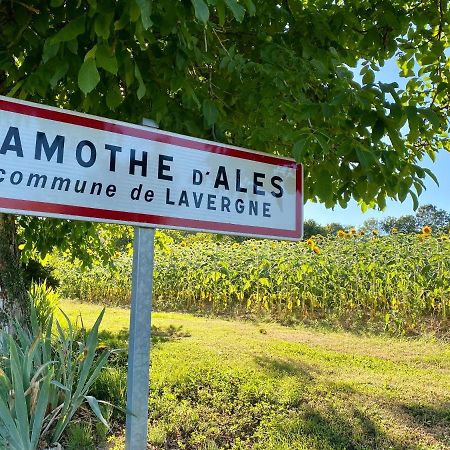 Gite Confort A Lamothe D Ales Lavergne  Zewnętrze zdjęcie